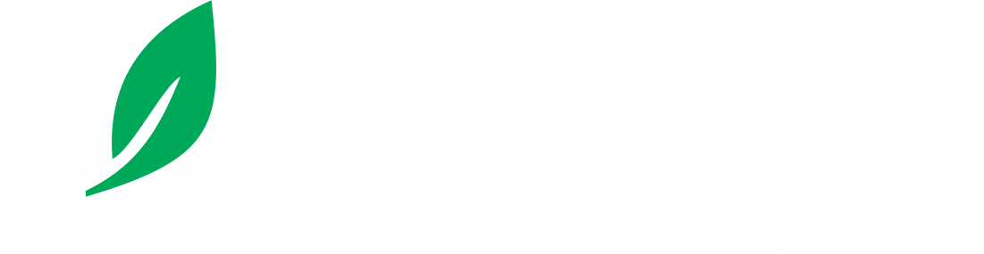 Logo Manimaxs